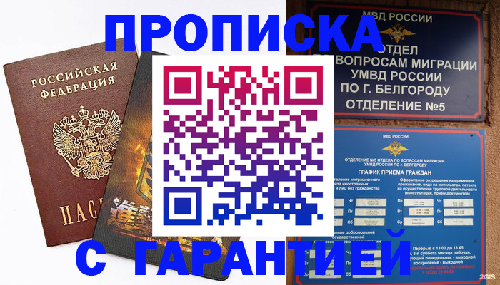 временная регистрация госуслуги в Дмитрове